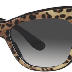 Dolce & Gabbana Sunglasses DG 4417 31638G Leo Brown/Black Gr...
